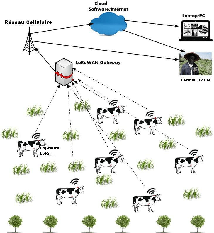 Architecture Smart-Élevage LoRaWAN